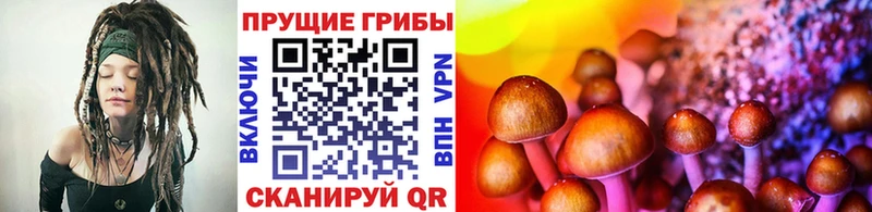 Галлюциногенные грибы MAGIC MUSHROOMS  Купить где  Озёрск 